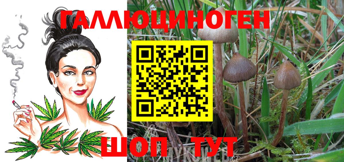 Галлюциногенные грибы GOLDEN TEACHER Димитровград